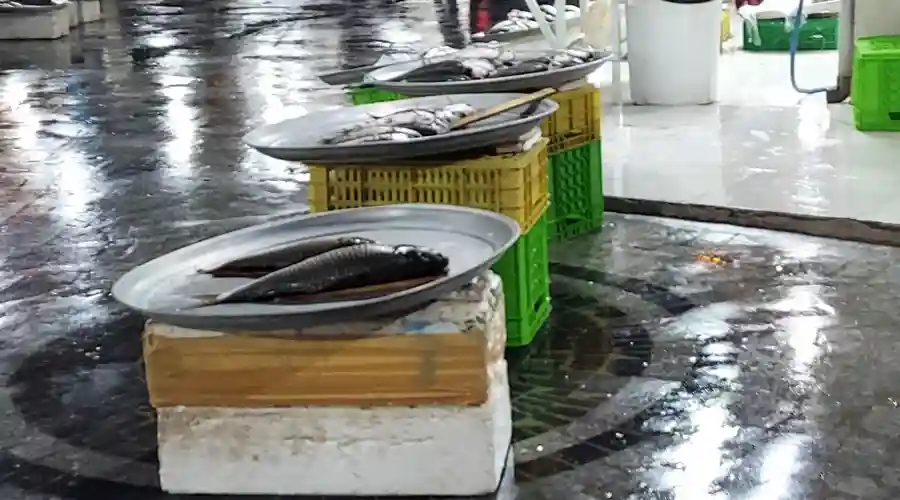 بازار ماهی فروشان بندر کیاشهر