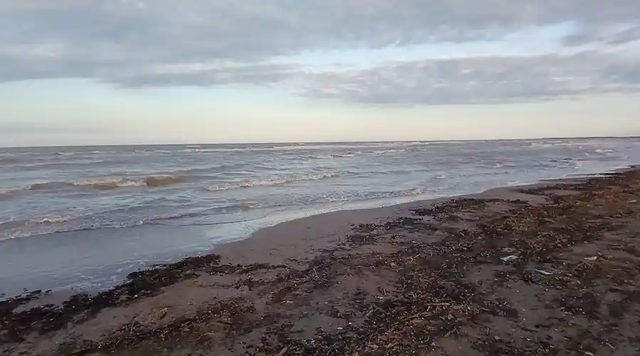 پل چوبی کیاشهر