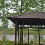 ساحل محسن آباد