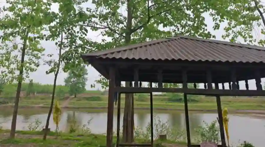 ساحل محسن آباد