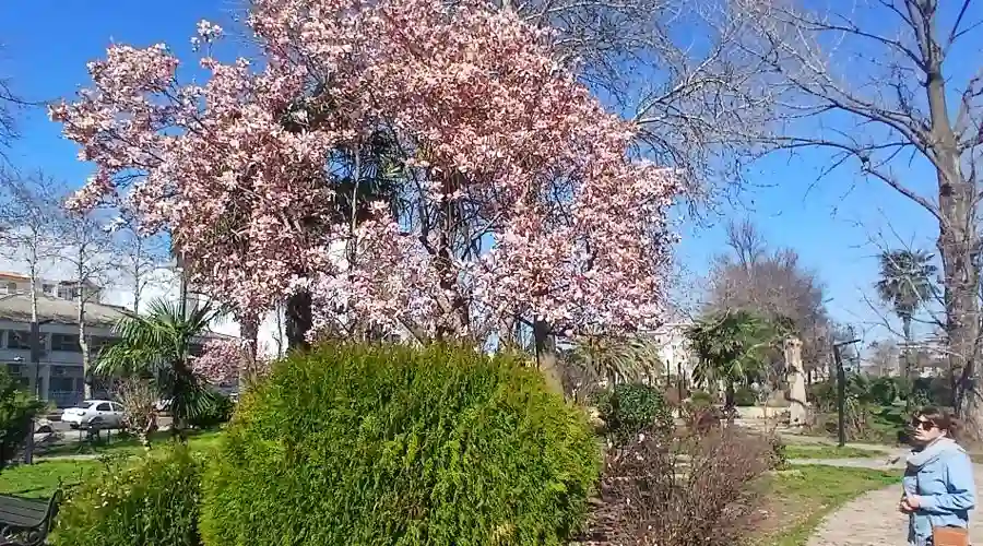 استخر لاهیجان