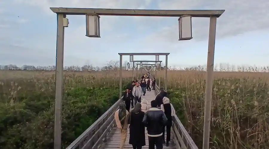 پل چوبی کیاشهر