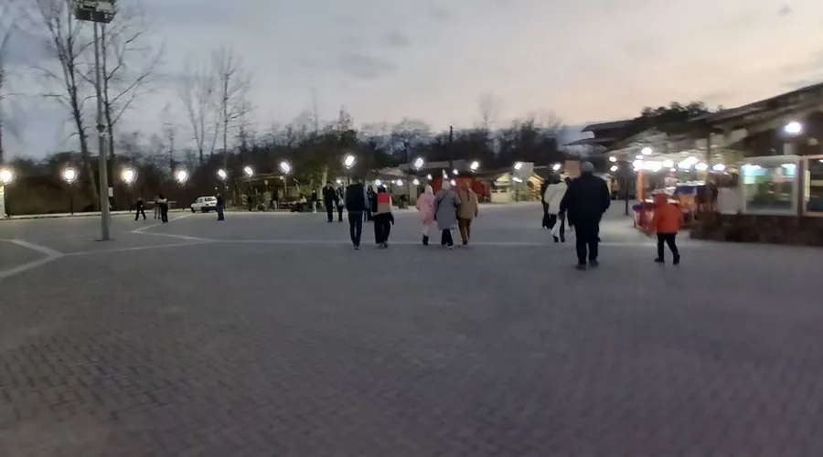 پل چوبی کیاشهر