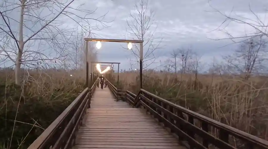 پل چوبی کیاشهر