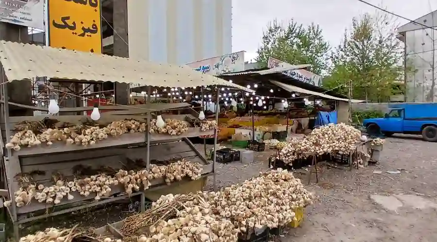 میوه فروشی چهارفصل