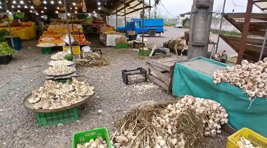 میوه فروشی چهارفصل